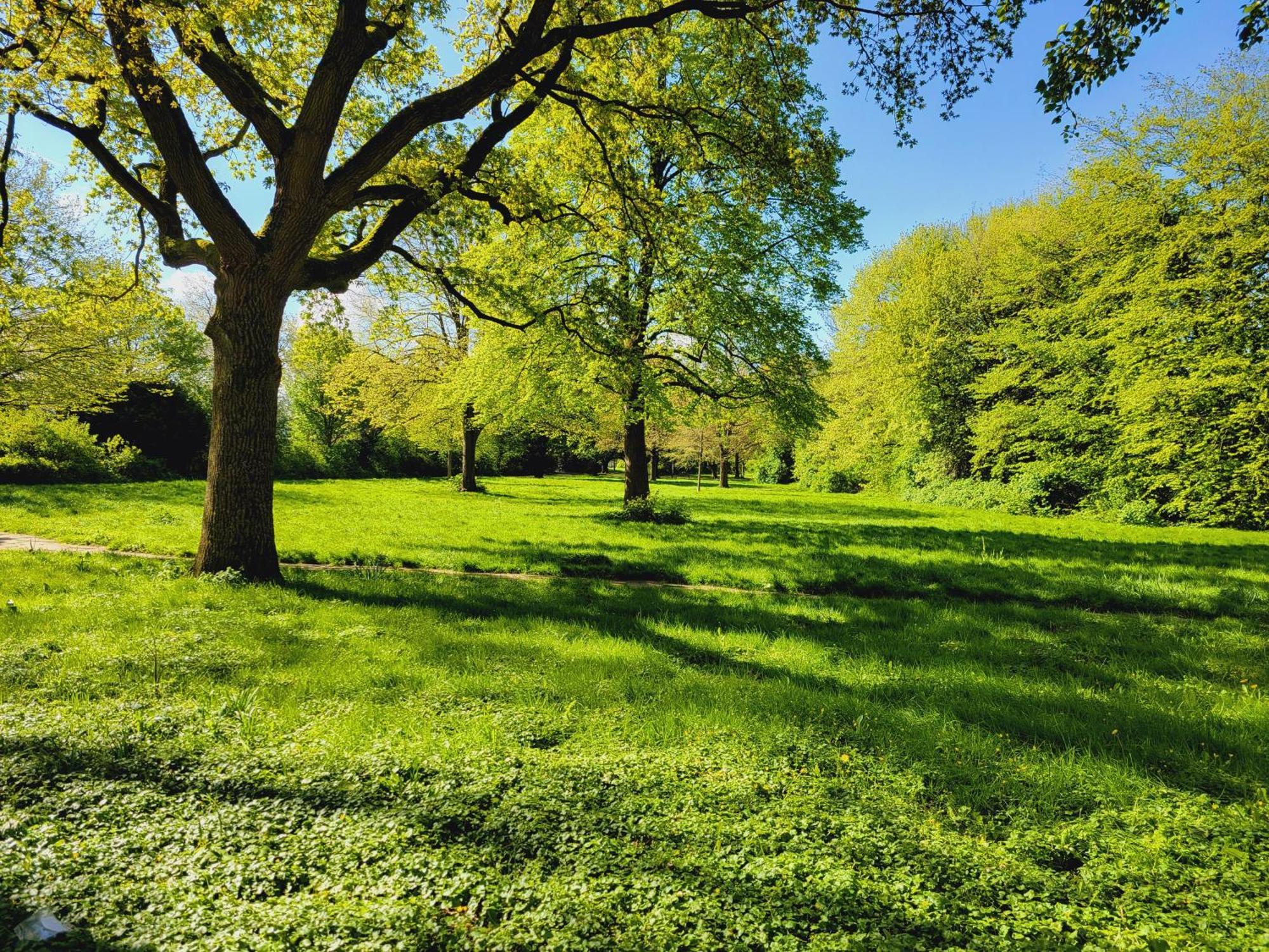 Ferienwohnungen Am Park Wilhelmshaven Exterior photo